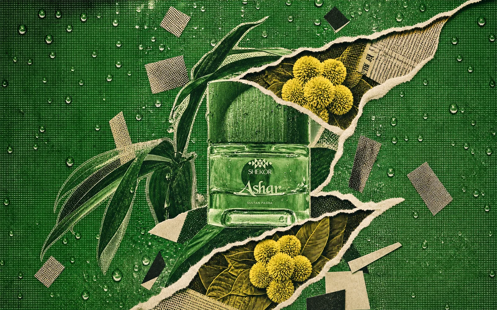 What Bangladesh smells like
