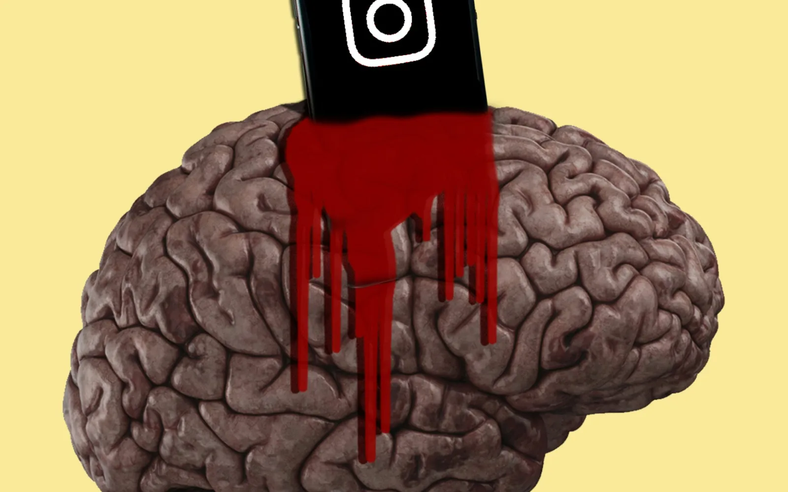 The adverse effects of social media have been meticulously researched.