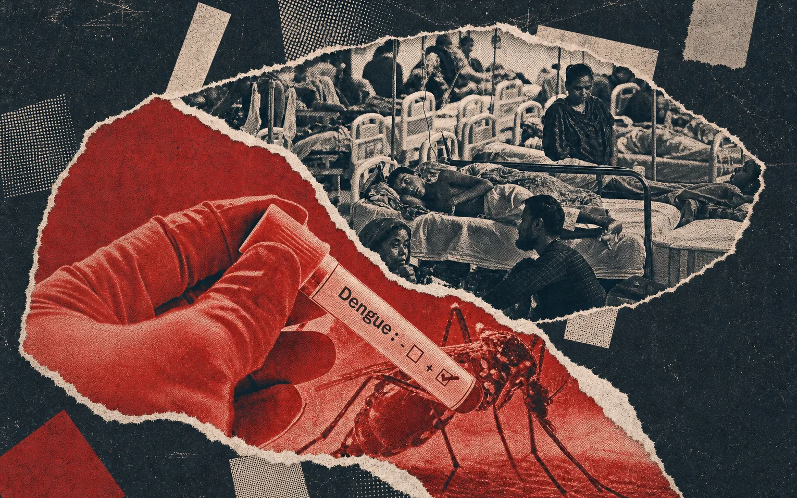 Dengue Surges Nationwide: Hospitalisations Top 1,000 Daily