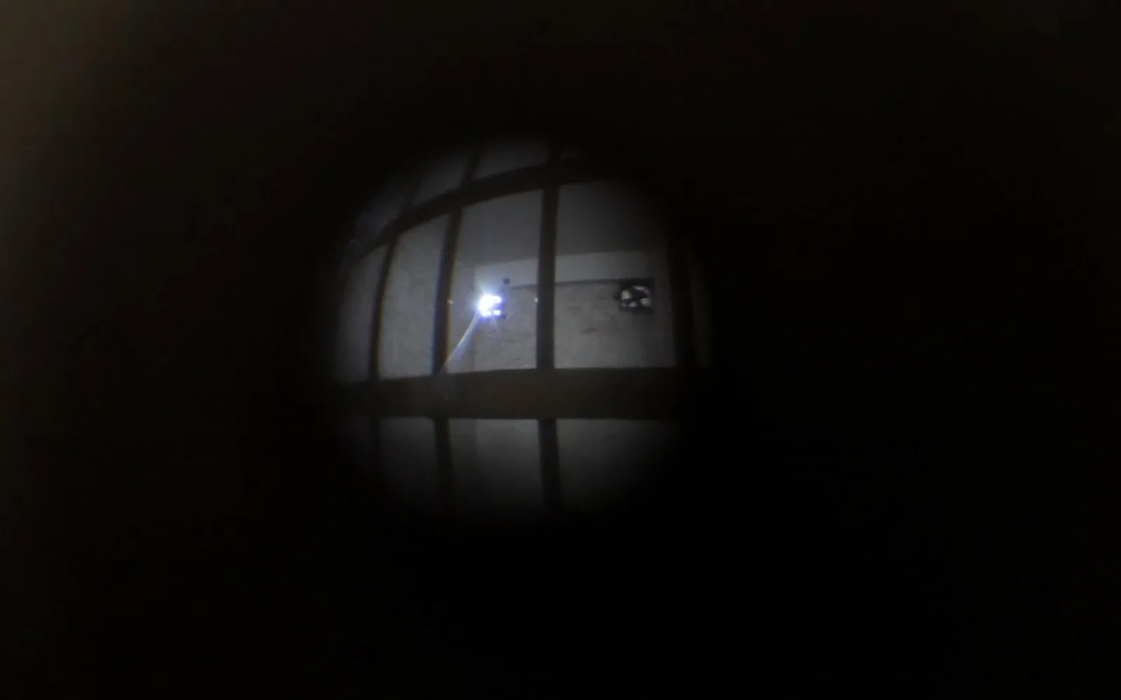The Horror