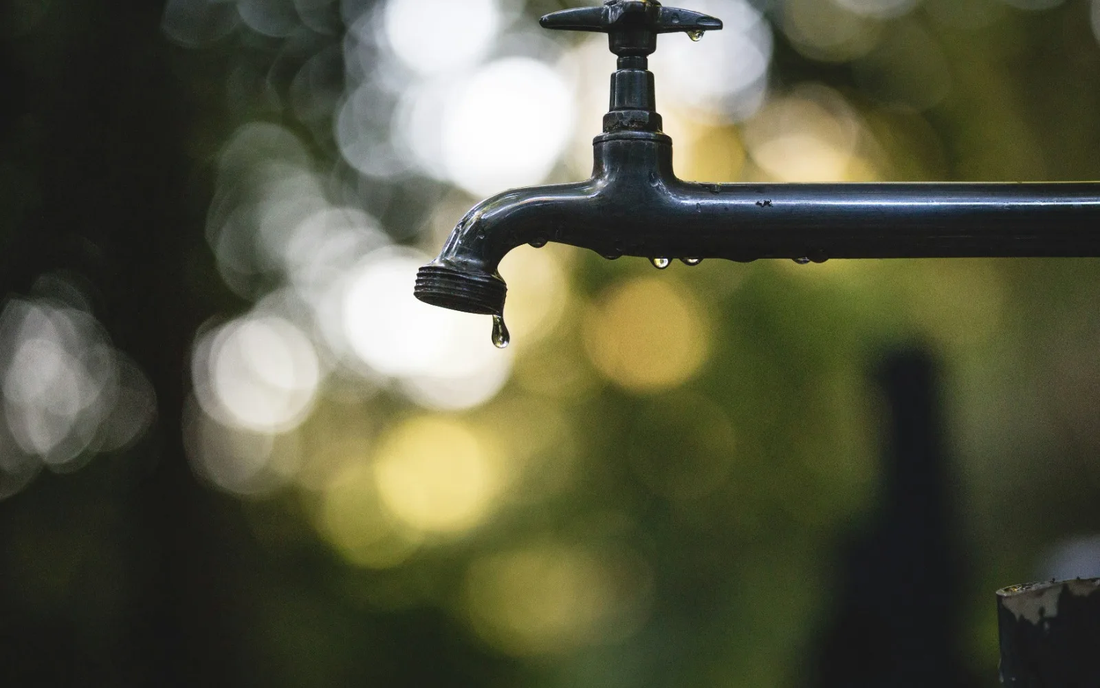 The Water Bill Is Not So High