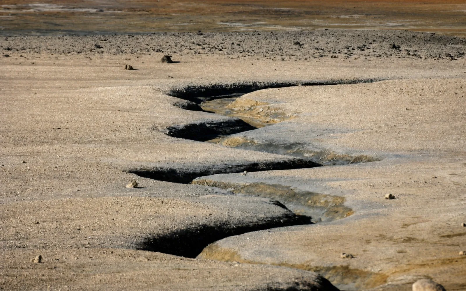 A landmark UN report says the world will overshoot the 1.5°C climate target. What happens now?