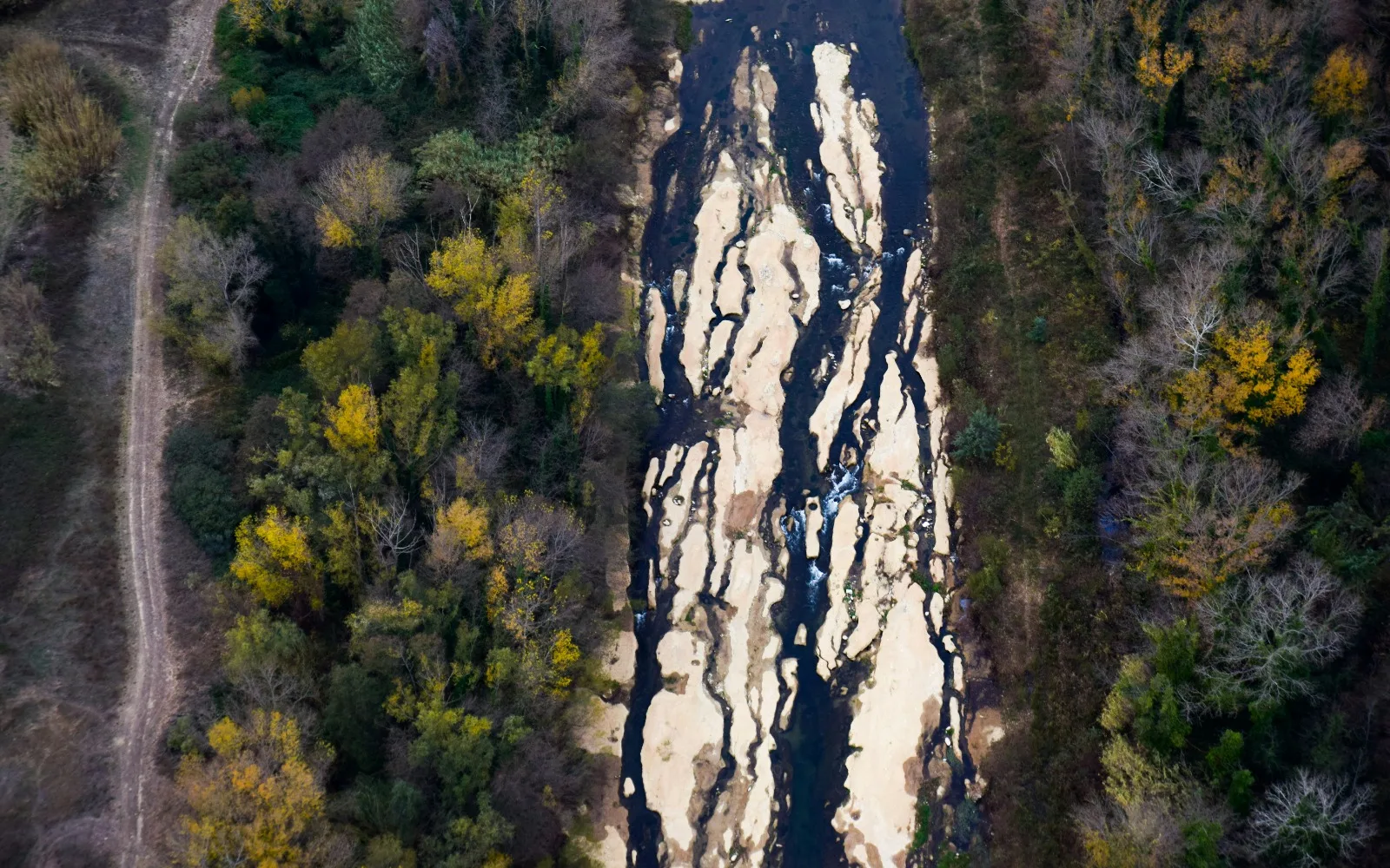 Major European rivers are at record low levels this year, threatening trade, power plants and farming. Pictured: the Danube River in southeastern Romania on August 5