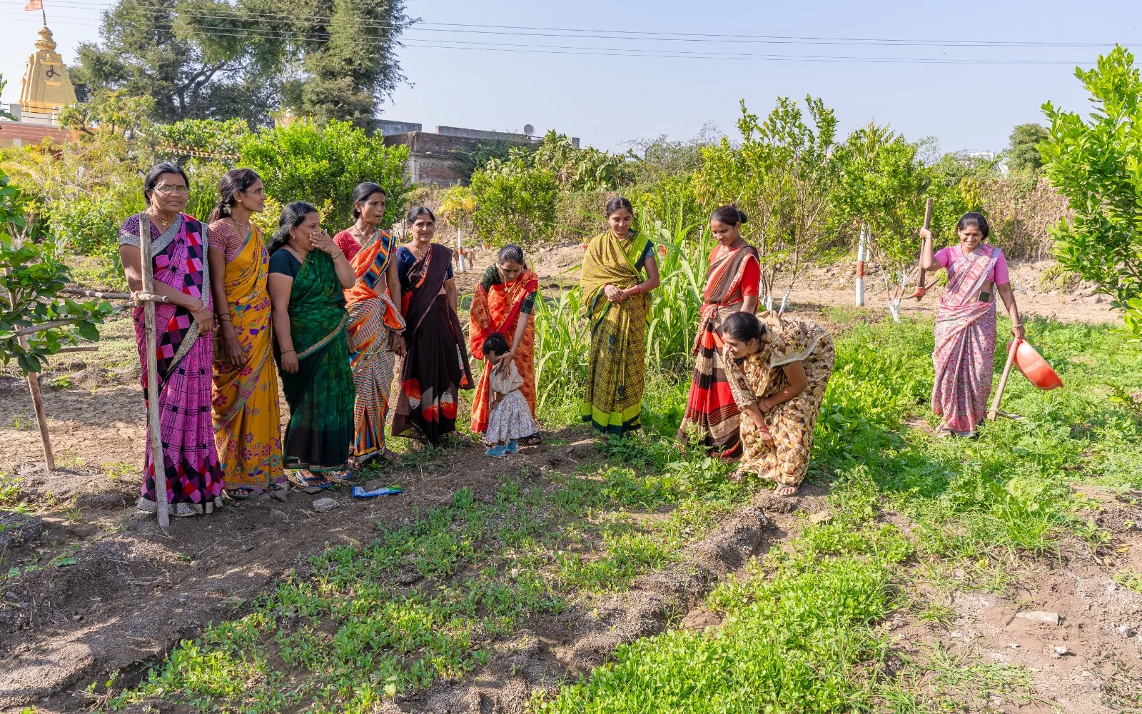 The community gardens in South Asia are generally maintained by women, which is another incentive