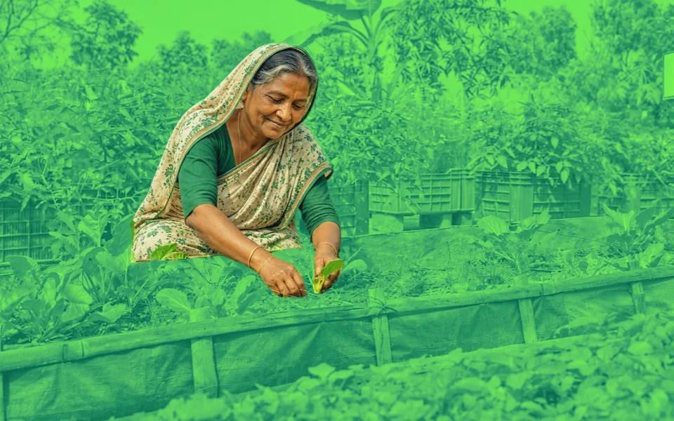 What if Dhaka finds room to grow?