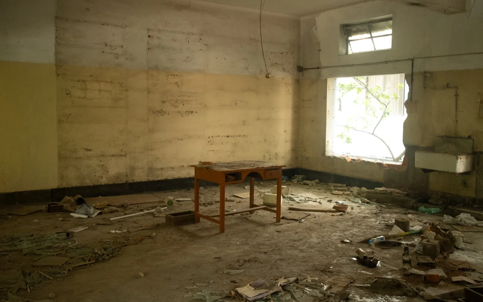 The Building That Grew Within