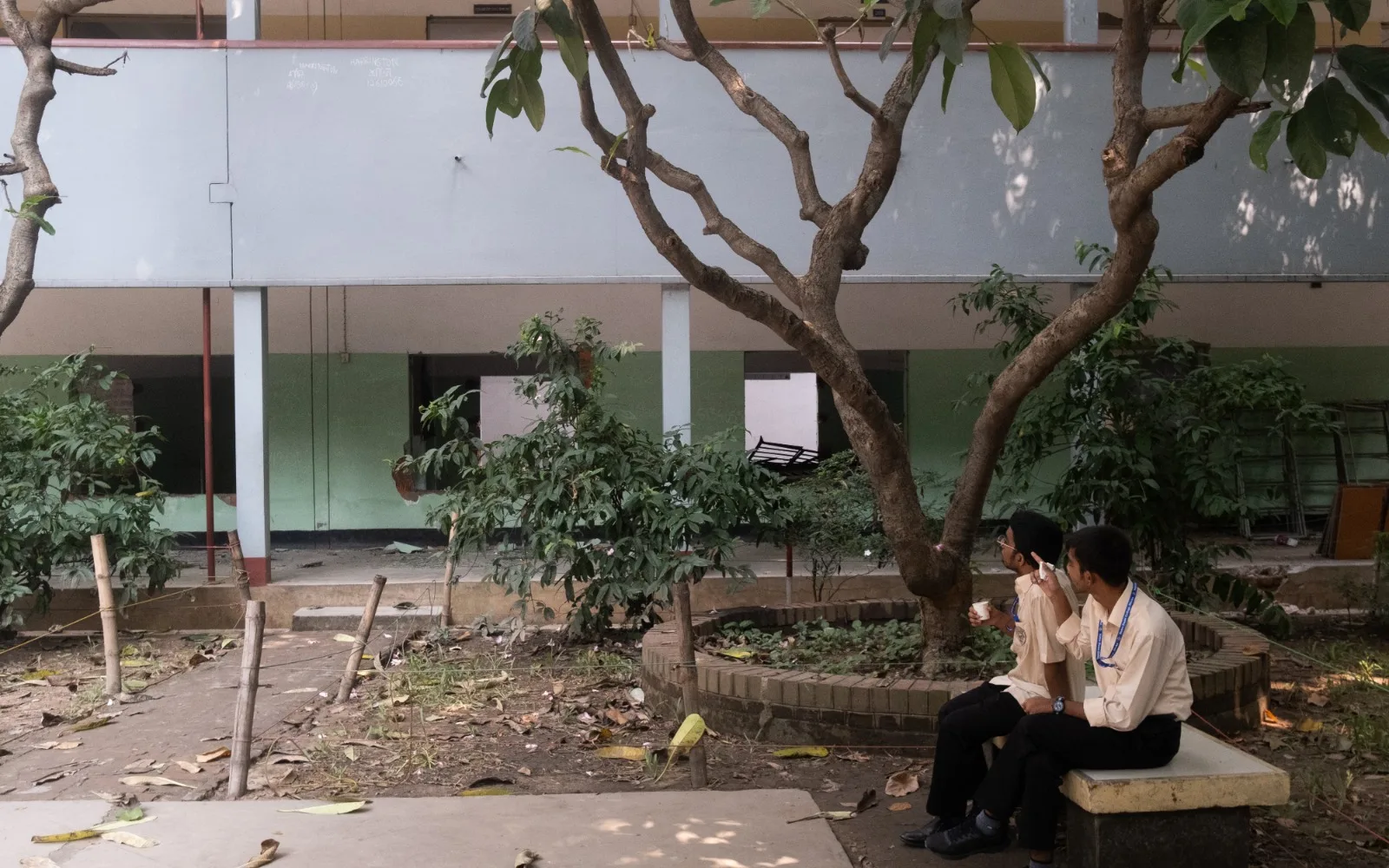 The Building That Grew Within