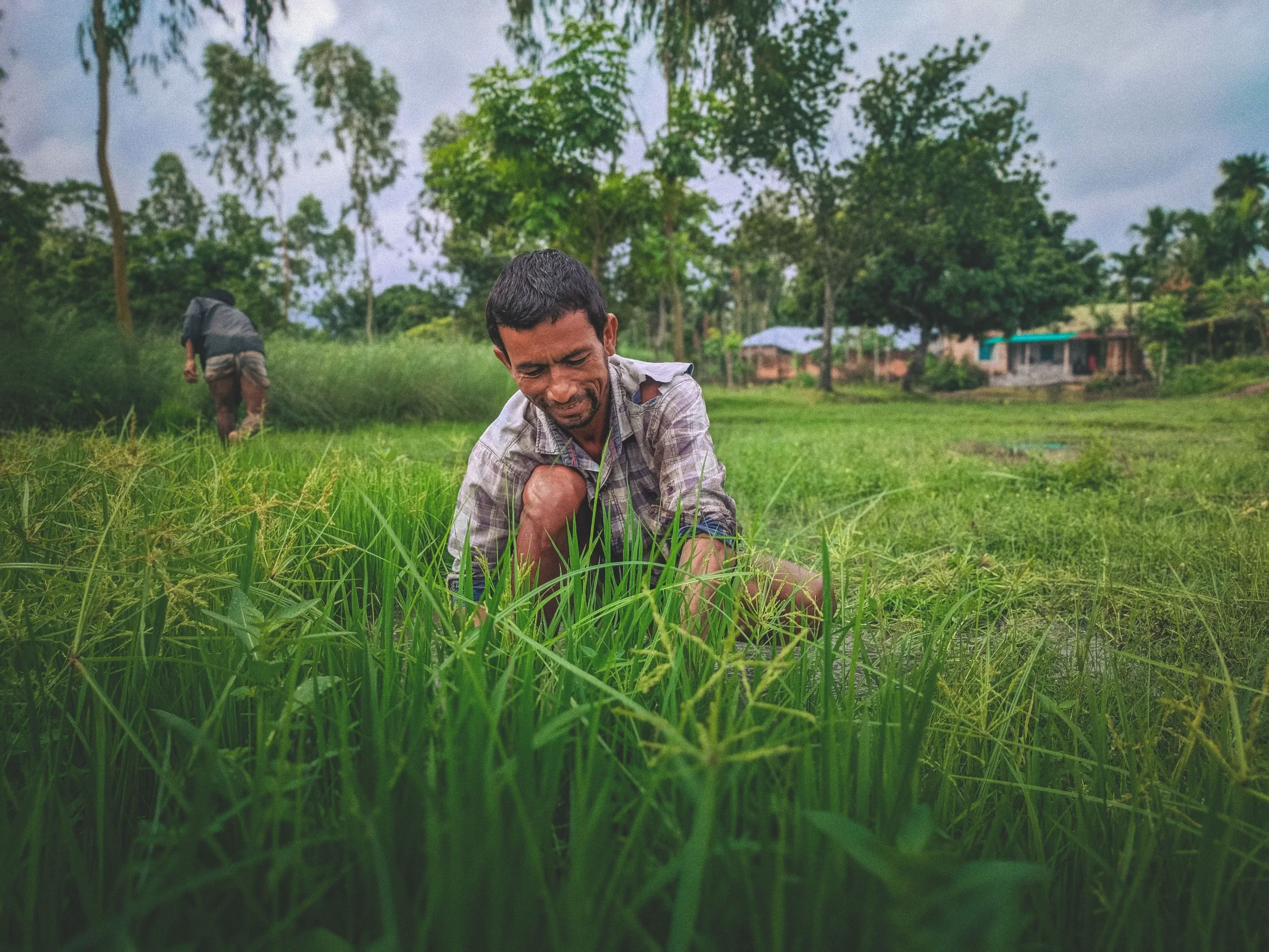 The people who shifted from being hunters to farmers must have had a lot of stories to tell.
