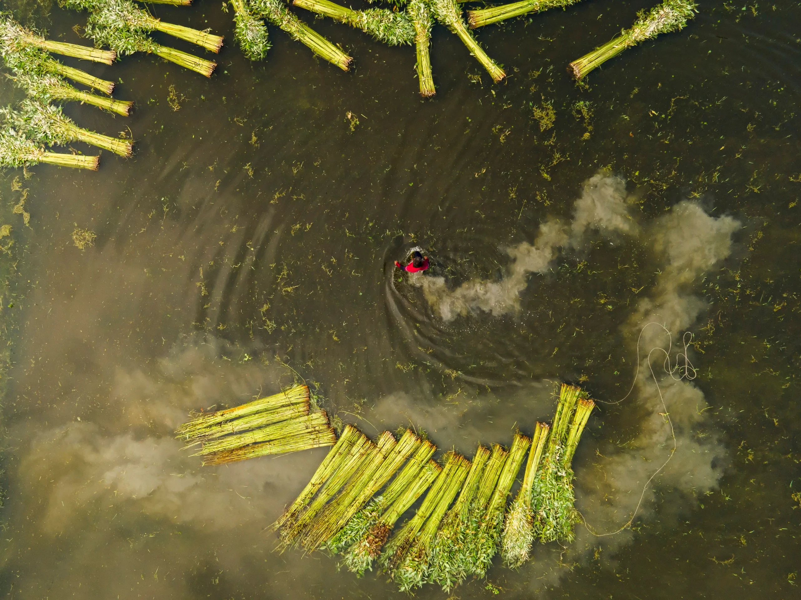 Bangladesh works with its water bodies