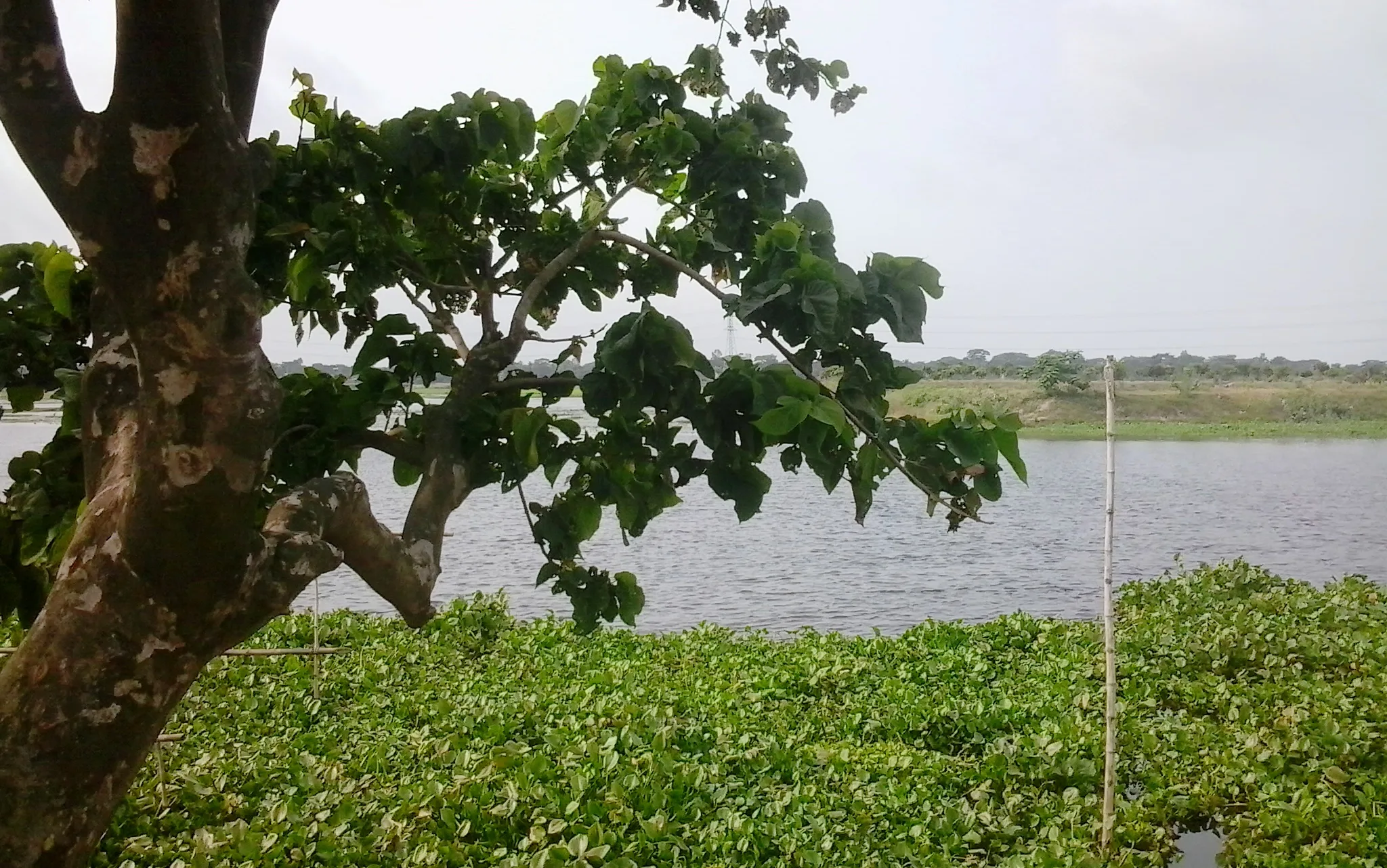The local communities, have, over centuries, adapted their practices according to geography