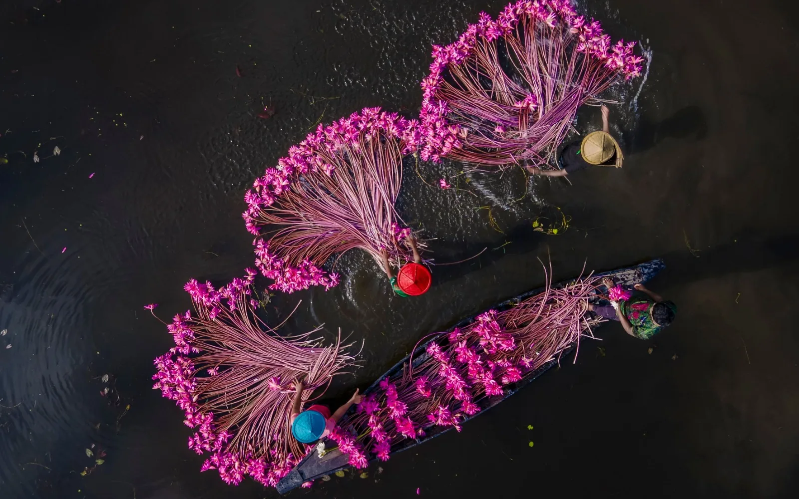 A Journey through Bangladesh’s Floating Gardens
