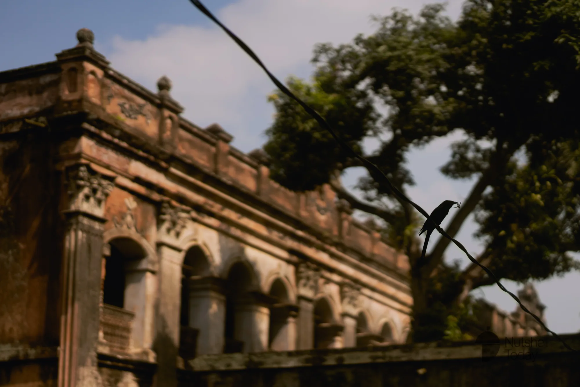 Echoes Along the Padma: A Day in Manikganj