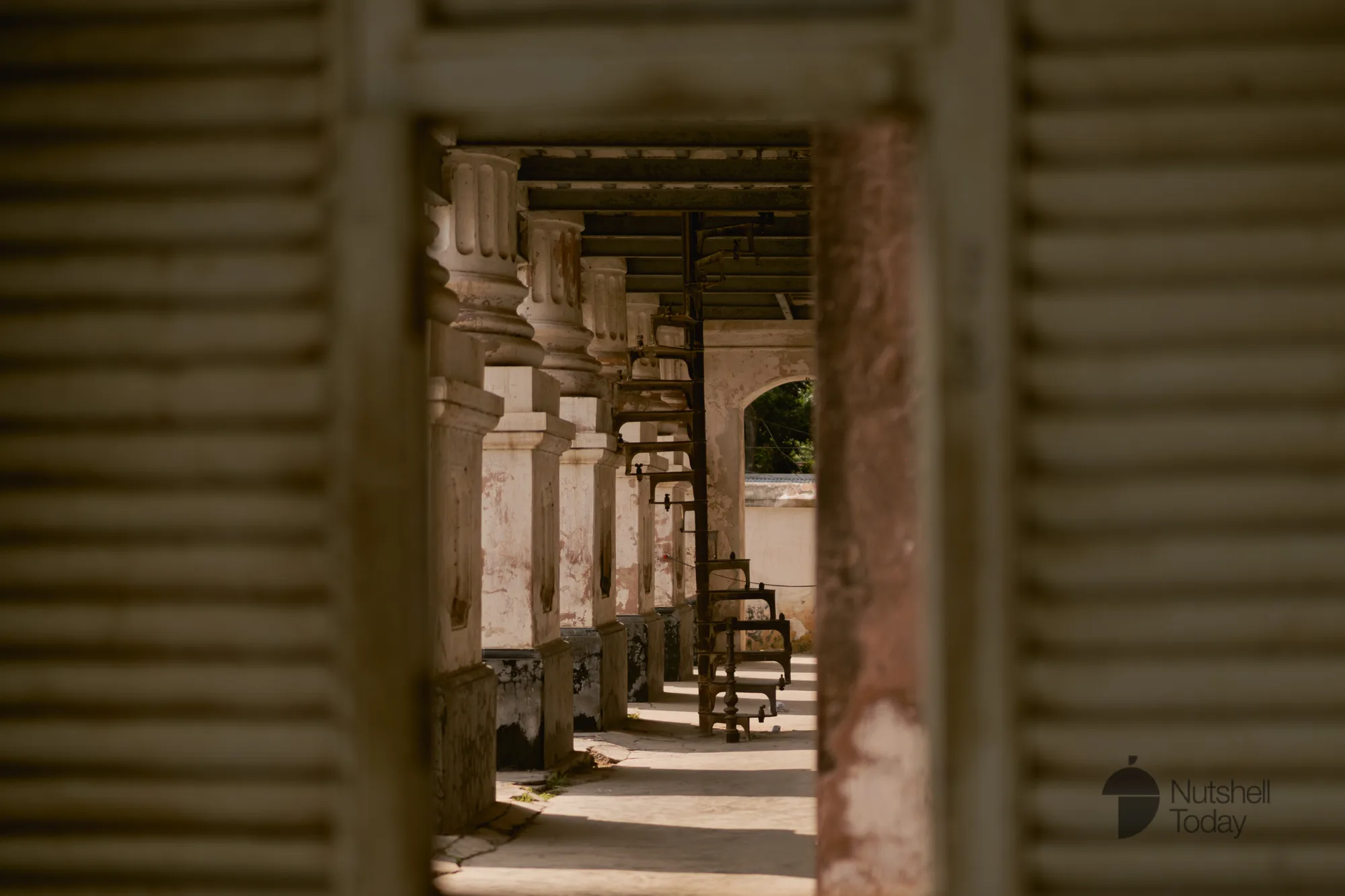 Echoes Along the Padma: A Day in Manikganj